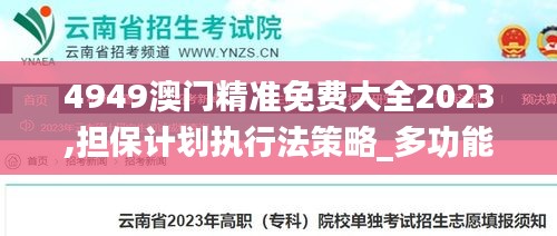 4949澳门精准免费大全2023,担保计划执行法策略_多功能版XRS4.21