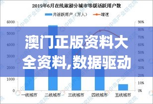 澳门正版资料大全资料,数据驱动方案_旅行版VHA4.17