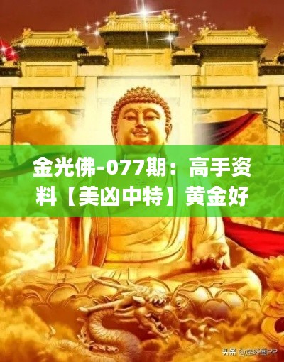 金光佛-077期：高手资料【美凶中特】黄金好料!,快速实施解答研究_确认版IYL18.31