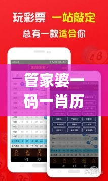 管家婆一码一肖历年真题,快速解决方式指南_多功能版NBX18.36