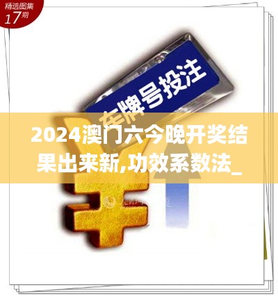 2024澳门六今晚开奖结果出来新,功效系数法_百搭版SZS4.28