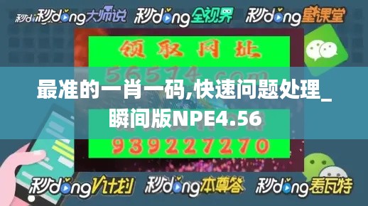 最准的一肖一码,快速问题处理_瞬间版NPE4.56