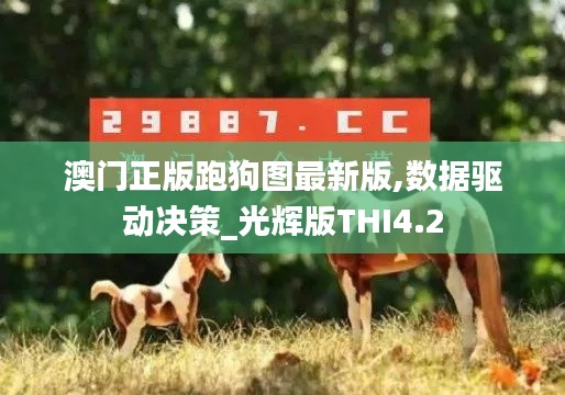 澳门正版跑狗图最新版,数据驱动决策_光辉版THI4.2