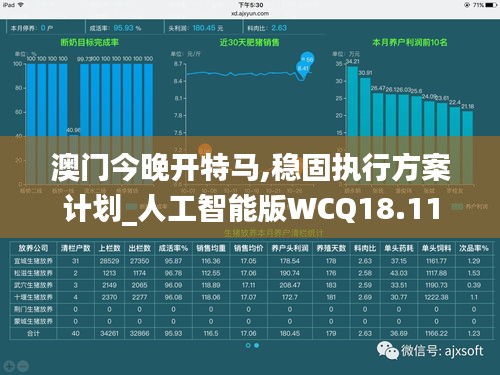 澳门今晚开特马,稳固执行方案计划_人工智能版WCQ18.11