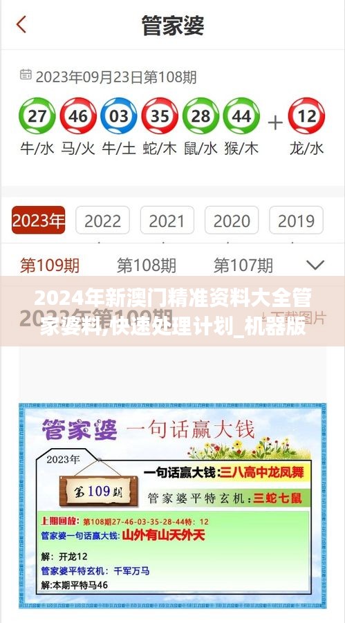 2024年新澳门精准资料大全管家婆料,快速处理计划_机器版XVA18.4