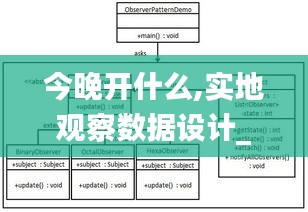 今晚开什么,实地观察数据设计_确认版DEK18.20