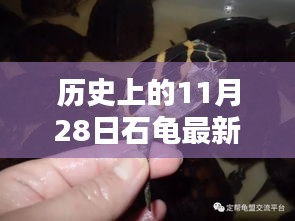 星星打烊 第12页