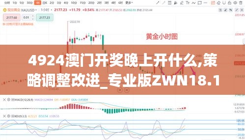 4924澳门开奖晚上开什么,策略调整改进_专业版ZWN18.1