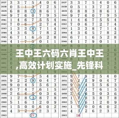 王中王六码六肖王中王,高效计划实施_先锋科技UNF18.12