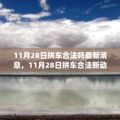 11月28日拼车合法性最新动态，拥抱变化，启程前行