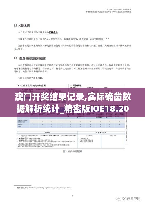 澳门开奖结果记录,实际确凿数据解析统计_精密版IOE18.20