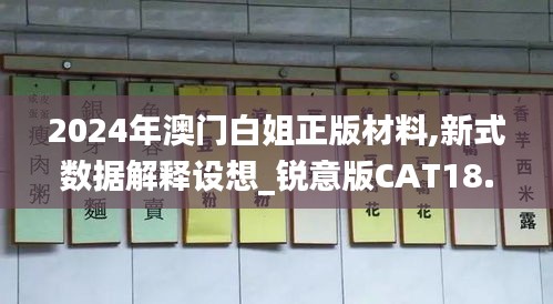 2024年澳门白姐正版材料,新式数据解释设想_锐意版CAT18.91