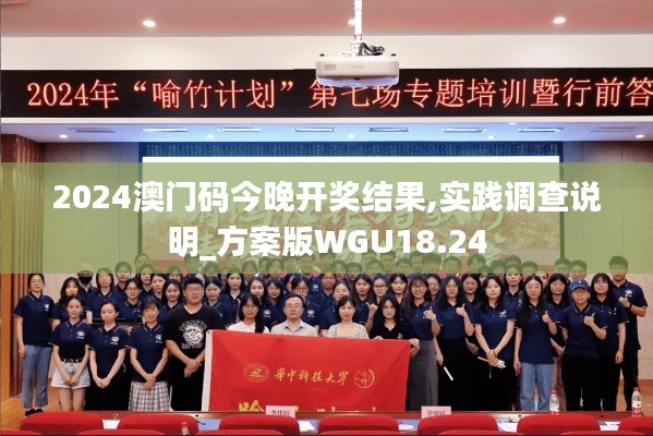 2024澳门码今晚开奖结果,实践调查说明_方案版WGU18.24