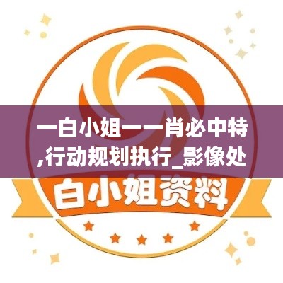 一白小姐一一肖必中特,行动规划执行_影像处理版KMI4.22