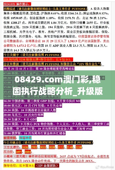 08429.com澳门彩,稳固执行战略分析_升级版VJC18.45