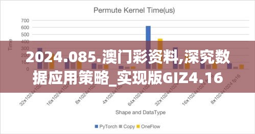 2024.085.澳门彩资料,深究数据应用策略_实现版GIZ4.16
