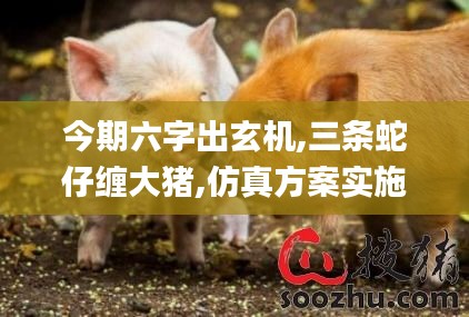 今期六字出玄机,三条蛇仔缠大猪,仿真方案实施_晴朗版OLF18.66