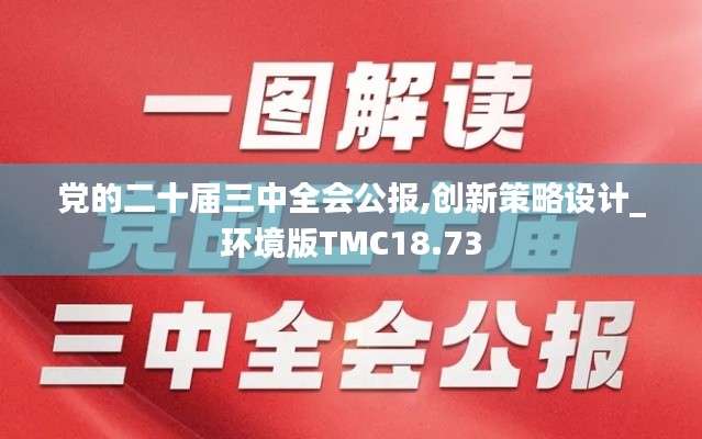 党的二十届三中全会公报,创新策略设计_环境版TMC18.73