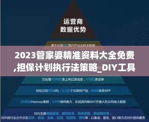 2023管家婆精准资料大全免费,担保计划执行法策略_DIY工具版IOC4.50