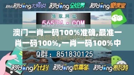 澳门一肖一码100%准确,最准一肖一码100%,一肖一码100%中奖,科学解说指法律_黑科技版ZUY18.56