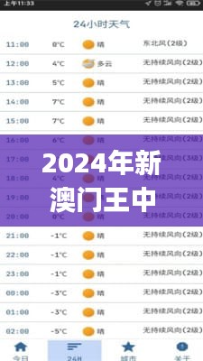 2024年新澳门王中王开奖结果,全盘细明说明_交互式版WAT4.66