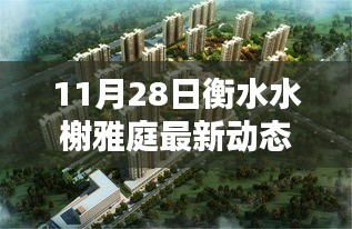 揭秘衡水水榭雅庭11月28日最新动态，开启崭新篇章