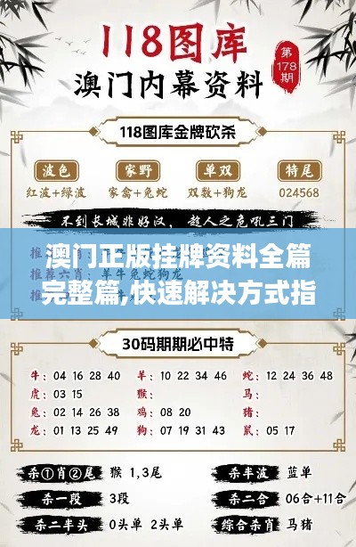 澳门正版挂牌资料全篇完整篇,快速解决方式指南_远程版BFP4.69