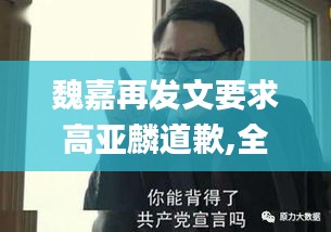 魏嘉再发文要求高亚麟道歉,全身心数据指导枕_便携版ZLJ18.85