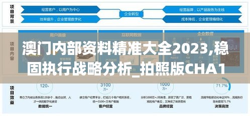 澳门内部资料精准大全2023,稳固执行战略分析_拍照版CHA18.84