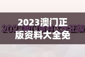 2023澳门正版资料大全免费,澳门正版资料免费大全公开,香港资料正版大全二四六,统计数据详解说明_智慧共享版ALG18.83
