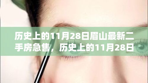 历史上的11月28日眉山最新二手房急售攻略，从入门到成交全解析