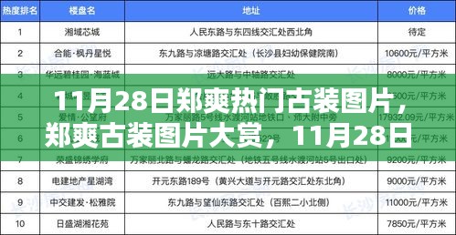 郑爽古装图片大赏，11月28日美图收藏攻略，专属古装美图欣赏！