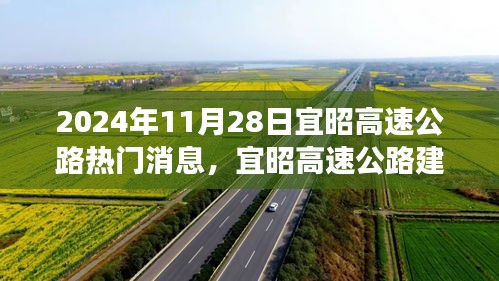 没精打采 第13页