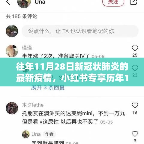 小红书专享历年疫情深度解析，历年11月28日新冠状肺炎疫情最新动态与深度分析