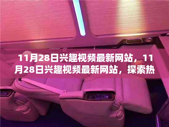 11月28日兴趣视频最新网站，热门内容探索与极致视听体验