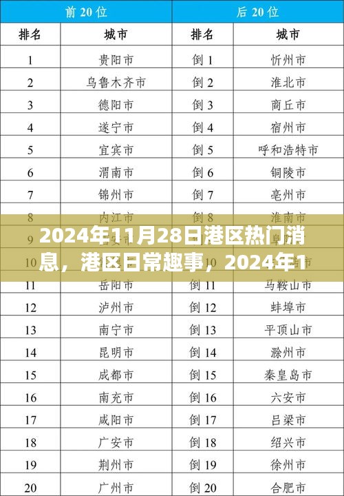 港区日常趣事与温馨时光，2024年11月28日报道