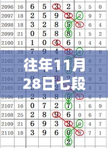 往年11月28日七段精彩视频大盘点，小红书独家解析，不容错过！