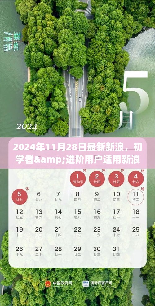 初学者与进阶用户指南，掌握最新新浪使用技能与任务操作（2024年11月更新）