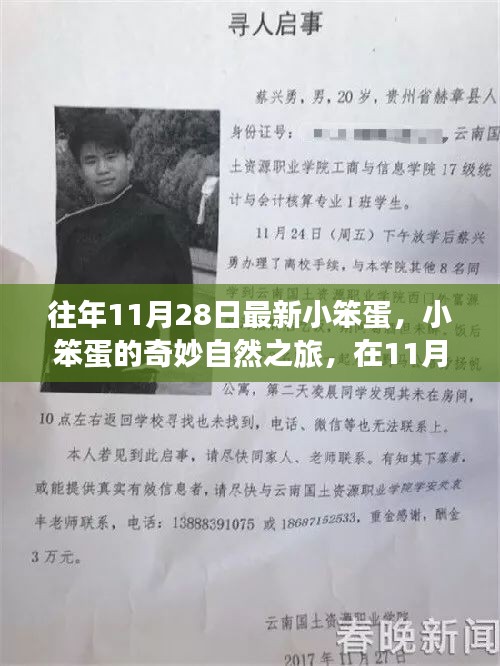小笨蛋的奇妙自然之旅，在暖阳中寻找内心的宁静