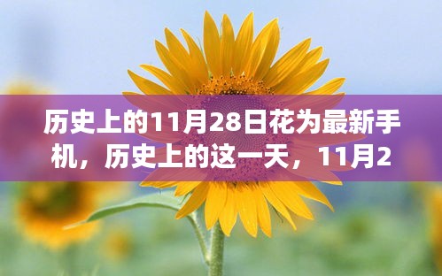 历史上的11月28日，最新手机绽放时刻，小红书独家揭秘之旅