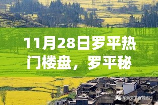 罗平秘境，梦幻楼盘探寻之旅，隐藏宝藏的奇妙体验（11月28日热门楼盘）