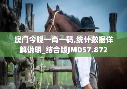 澳门今晚一肖一码,统计数据详解说明_结合版JMD57.872