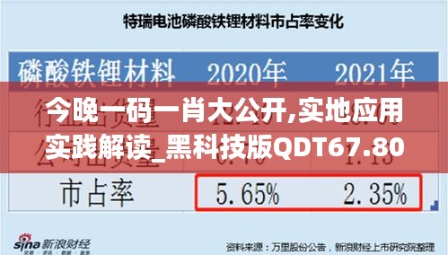 今晚一码一肖大公开,实地应用实践解读_黑科技版QDT67.808