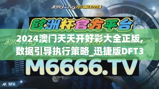 2024澳门天天开好彩大全正版,数据引导执行策略_迅捷版DFT36.988