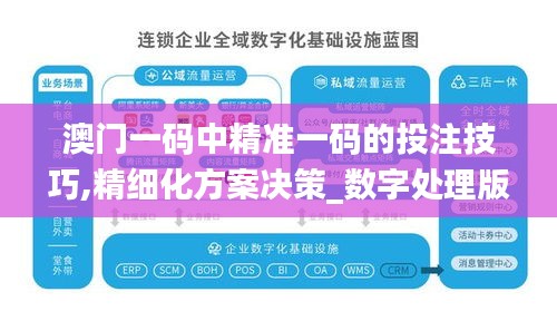 澳门一码中精准一码的投注技巧,精细化方案决策_数字处理版OSB18.584