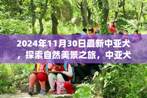 中亚犬心灵之旅，探索自然美景，远离尘嚣的心灵之旅