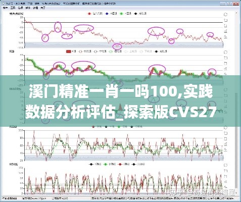 溪门精准一肖一吗100,实践数据分析评估_探索版CVS27.572