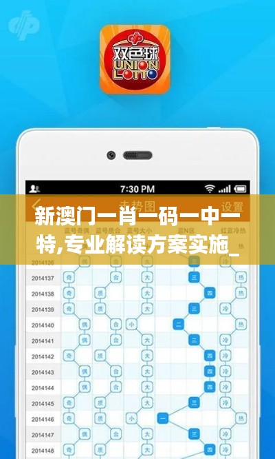 新澳门一肖一码一中一特,专业解读方案实施_赛博版TYB88.313