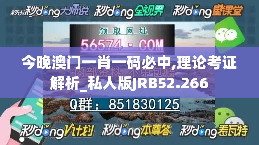 今晚澳门一肖一码必中,理论考证解析_私人版JRB52.266