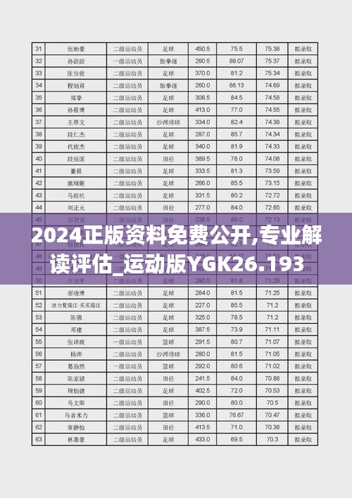 2024正版资料免费公开,专业解读评估_运动版YGK26.193